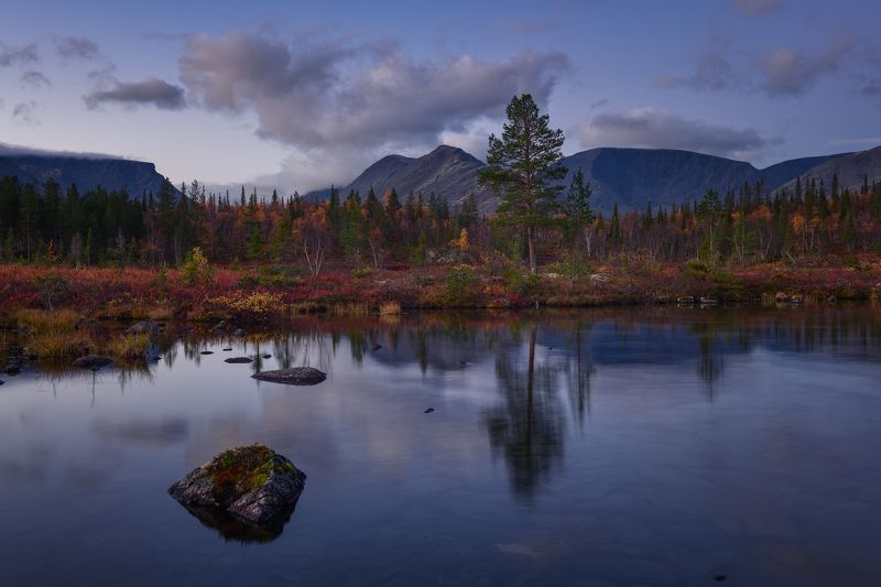 Субботнее утречко.... фото превью