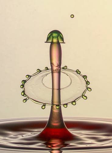 Drop Ring