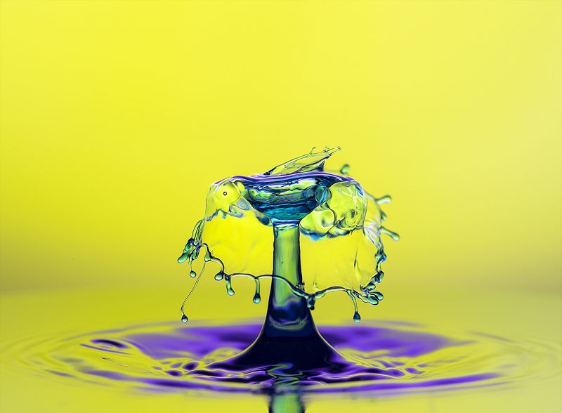 WATER,LIQUID,ABSTRACT,BLUE,LIQUID ART,DROPS,MACRO,SPLASH PHOTO,SPLASH,SPLASHING,STILL LIFE,DROP,DROPLET,DROPLETS,WATER DROP,WATER DROPS,RIPPLE,RIPPLES,CLOSE UP,CLOSE-UP Dancing Drops фото превью