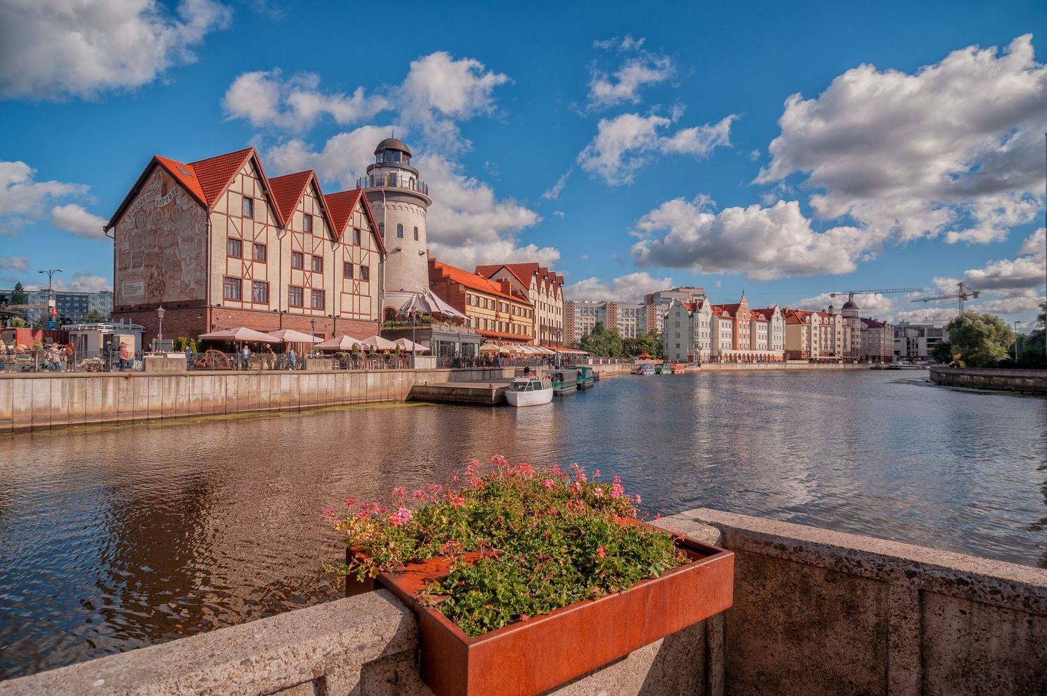 , Павел Жданов