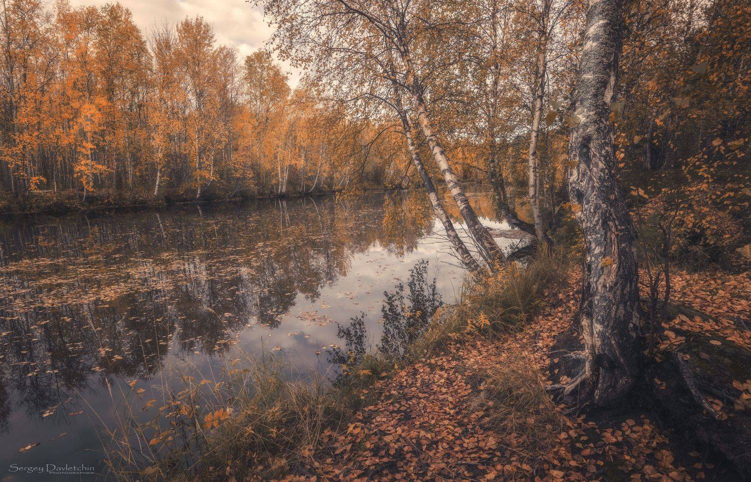 , Сергей Давлетшин