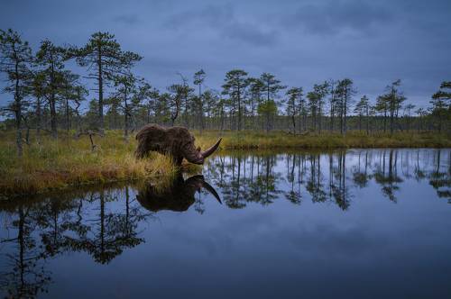 Неожиданная встреча.