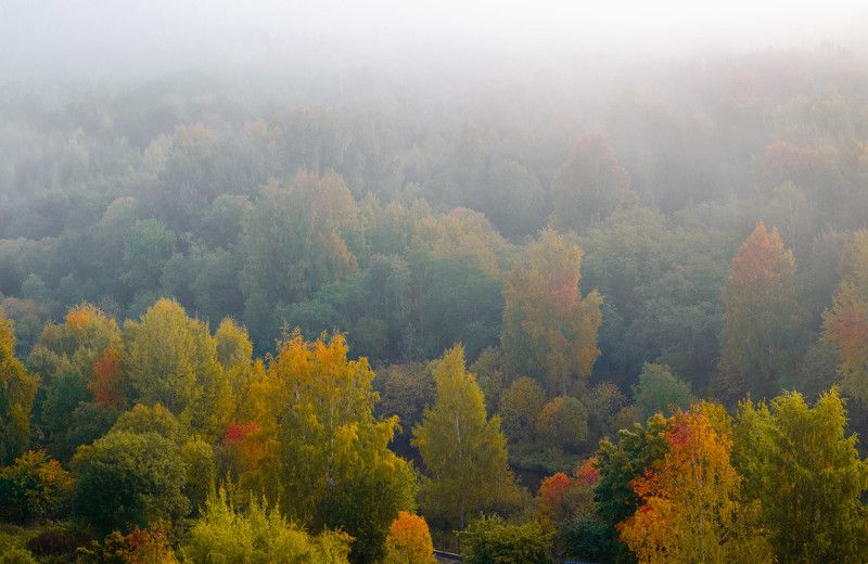 Осень фото превью