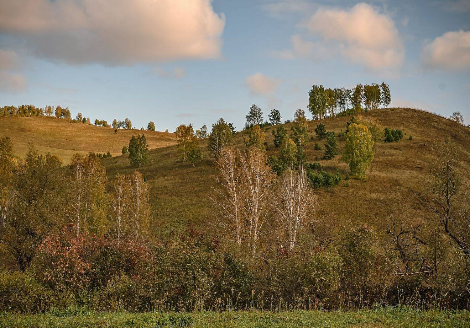 алтайский край. осень., Бирюков Вячеслав