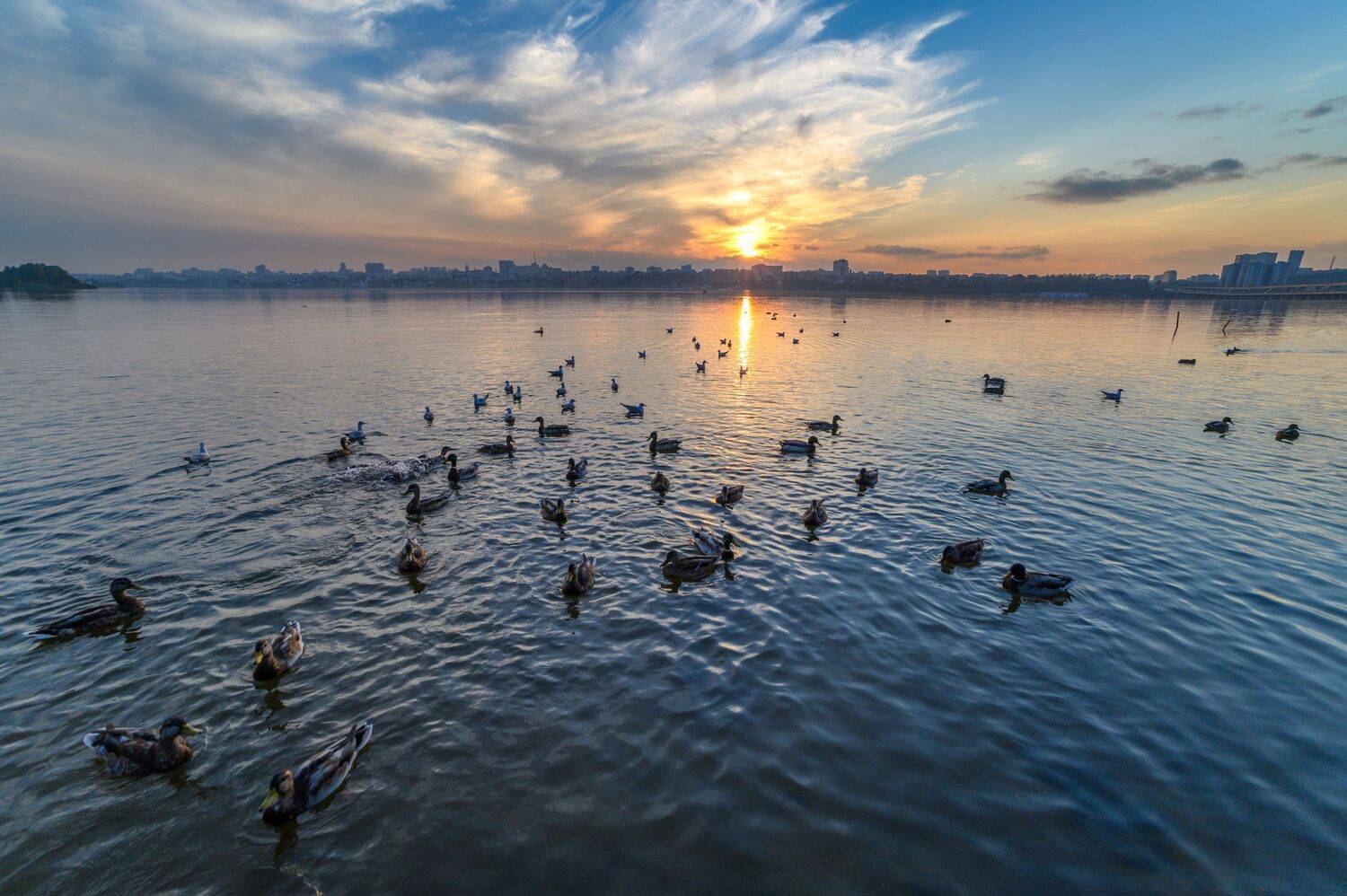 , Караваев Антон