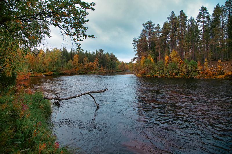 река Ена фото превью
