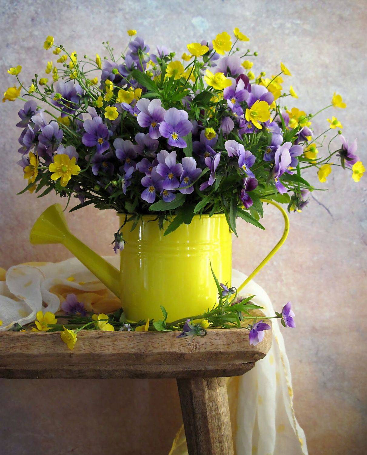 цветы, букет, анютины глазки, лютики, лейка, шарф, Наталия Тихомирова