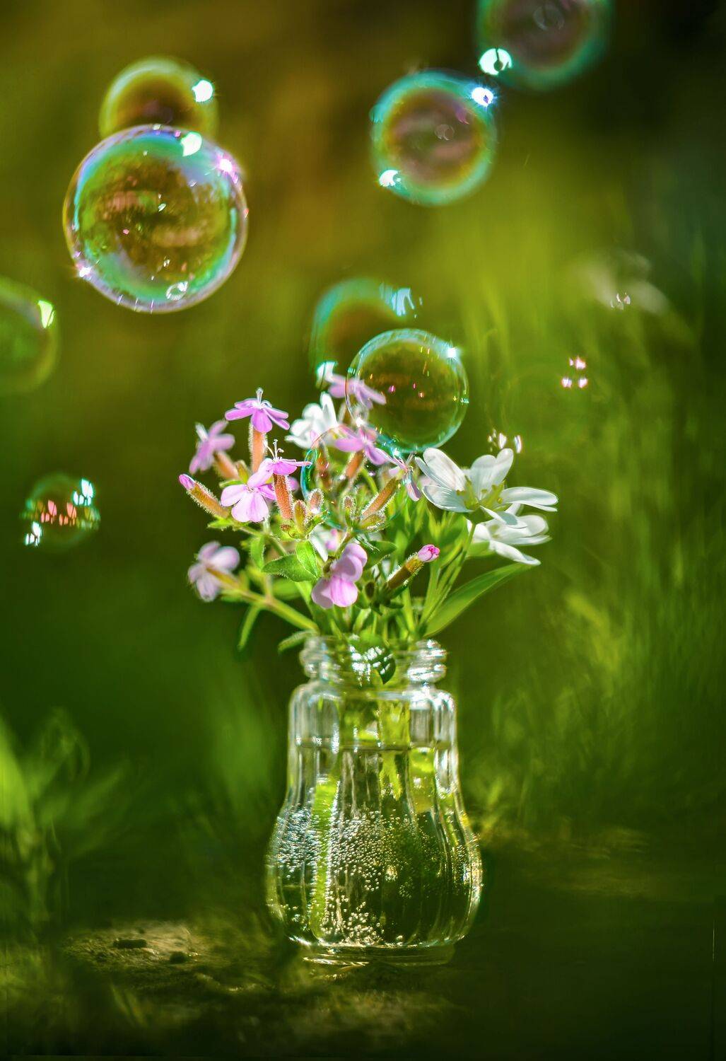 Натюрморт, растения, цветы, зеленый, Shadow Anna