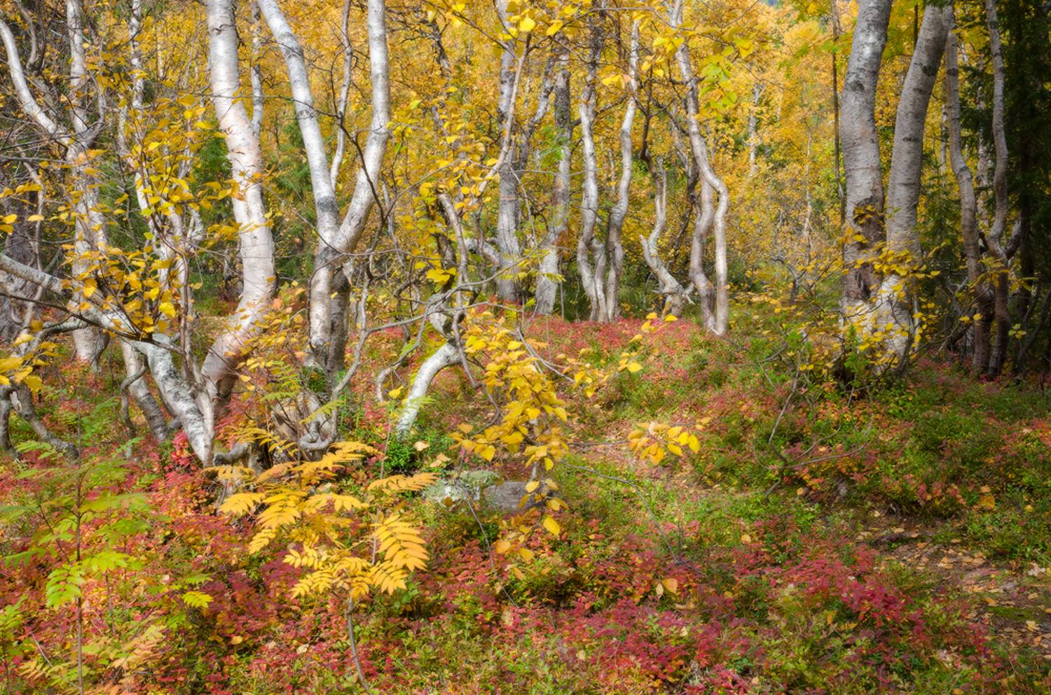 Сейдозеро, Ловозерские тундры, Юсупов Александр