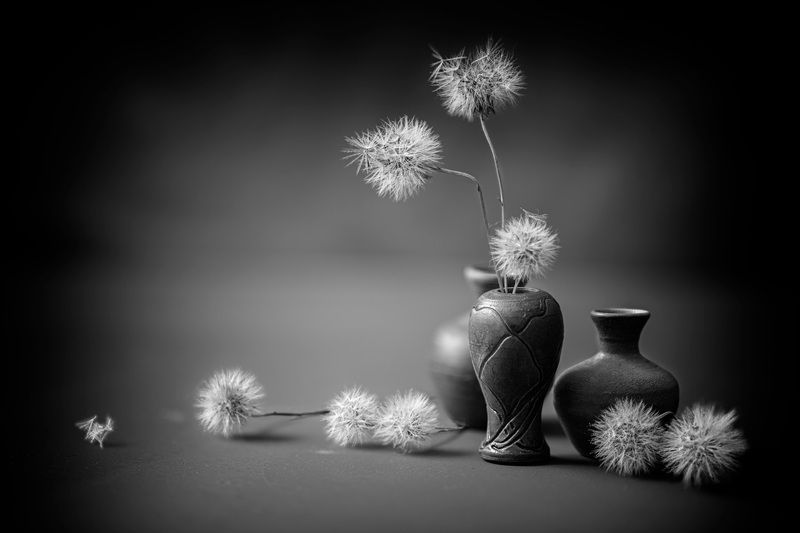 still life Balls фото превью