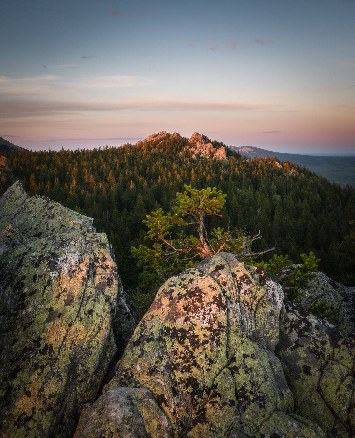 , Овчинникова Наталья