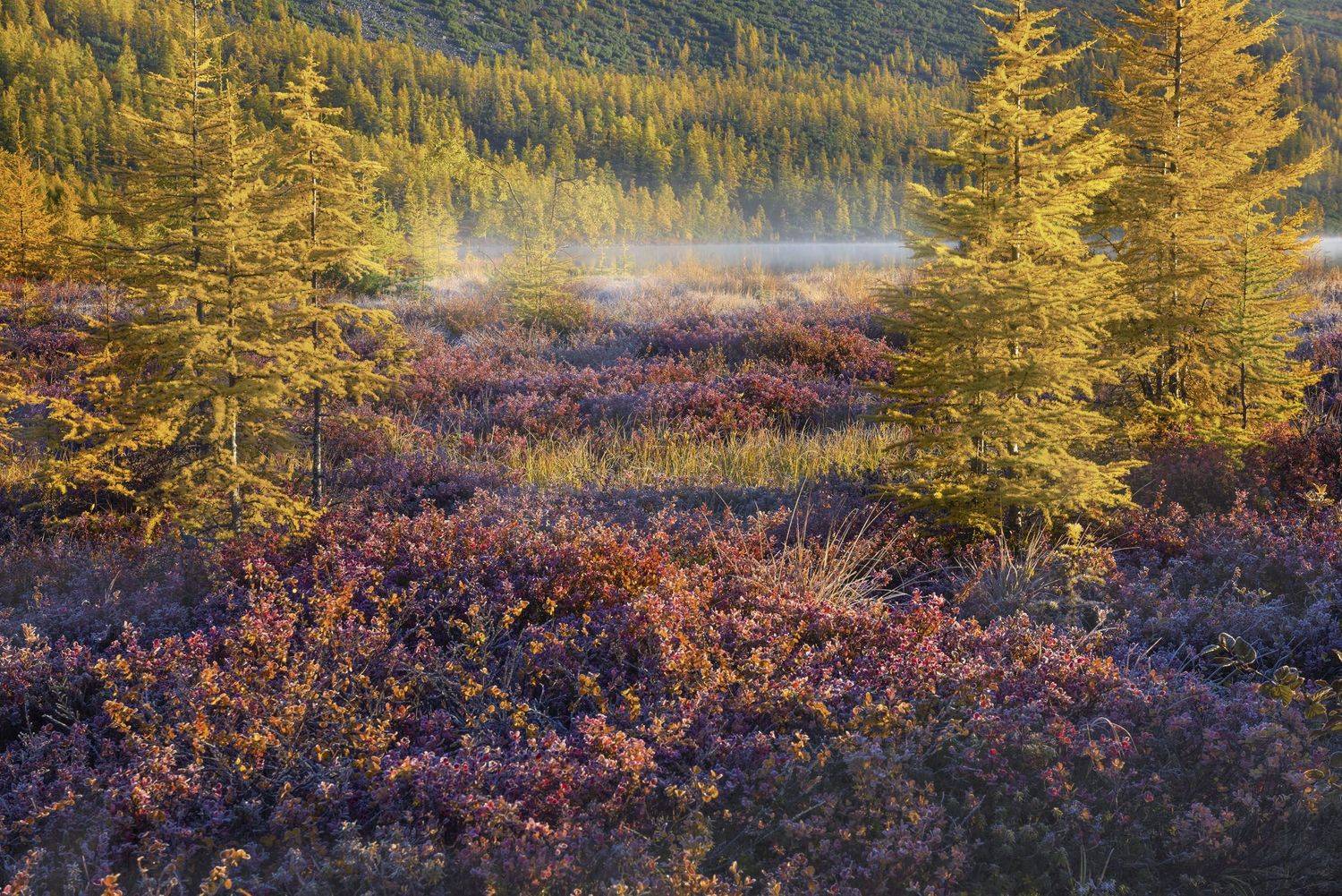 Фототуры с Владимиром Рябковым, #озероджекалондона #колыма #loves_russia #nikonrussia #landscape_russia #ru_landscape  #русскийсевер #landscapephotography #photoarena_nature #Russiannature #большаястрана #russpasibo #topnature #lovelyRussia #природаРоссии, Владимир Рябков