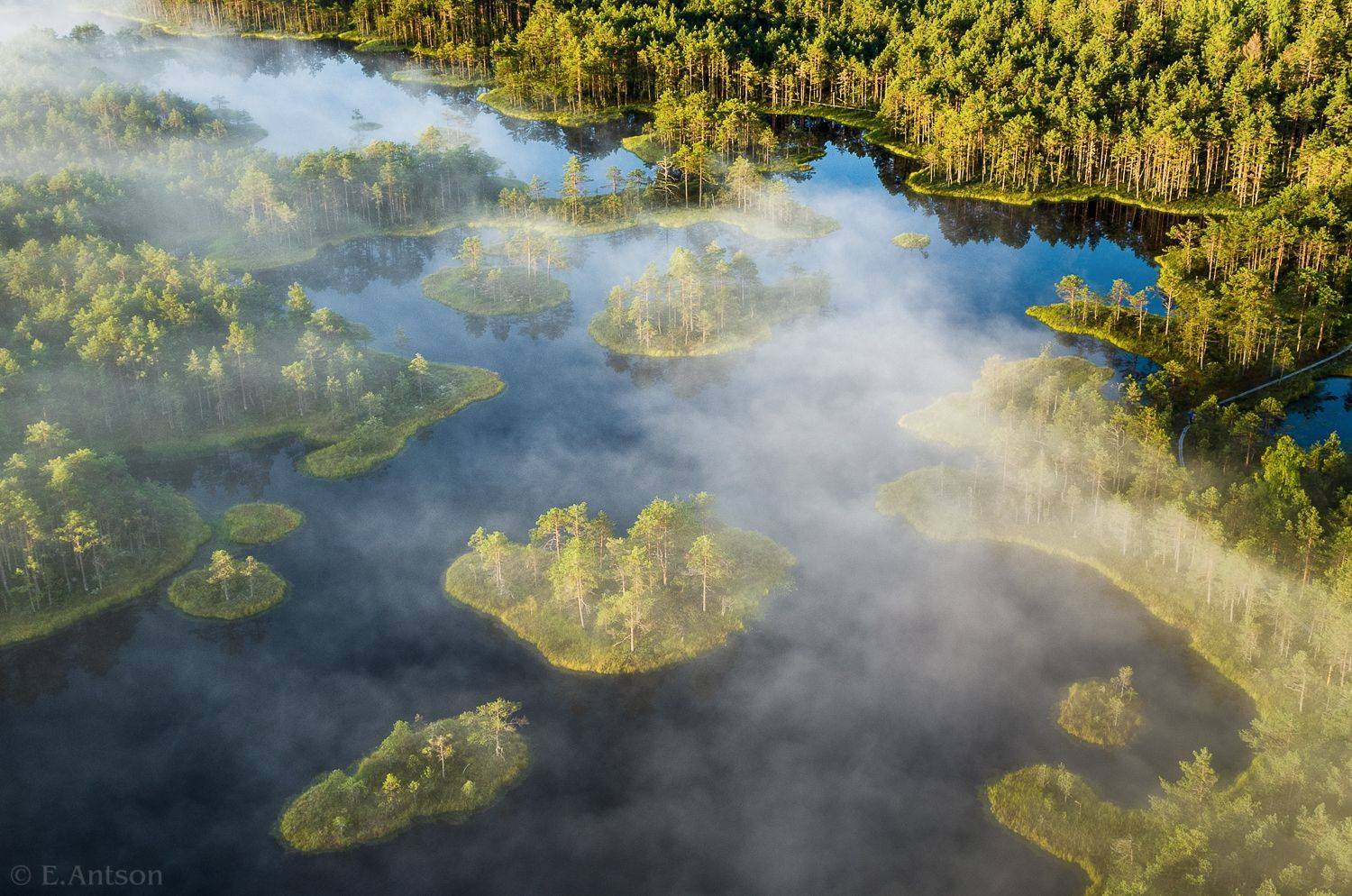 пейзаж, природа, эстония, болото, Antson Elvis