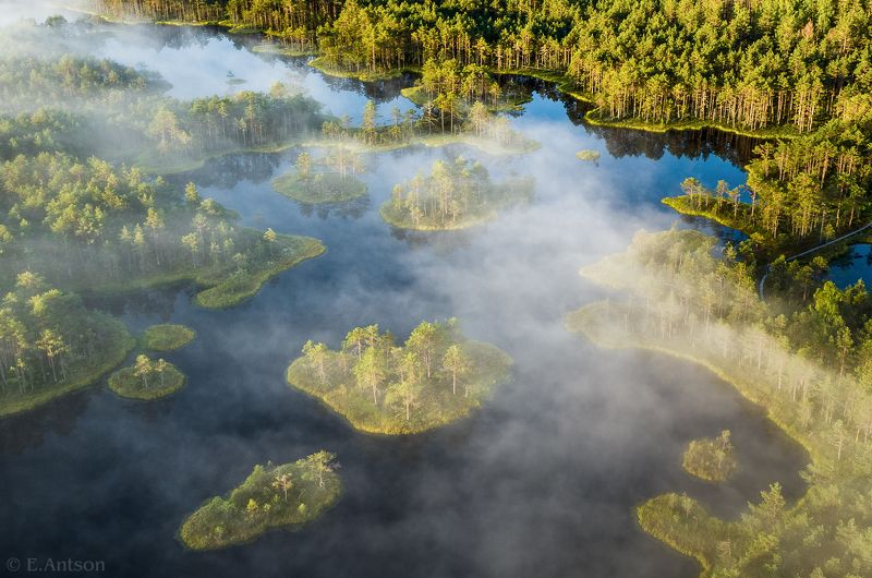 пейзаж, природа, эстония, болото Над утренним болотом фото превью