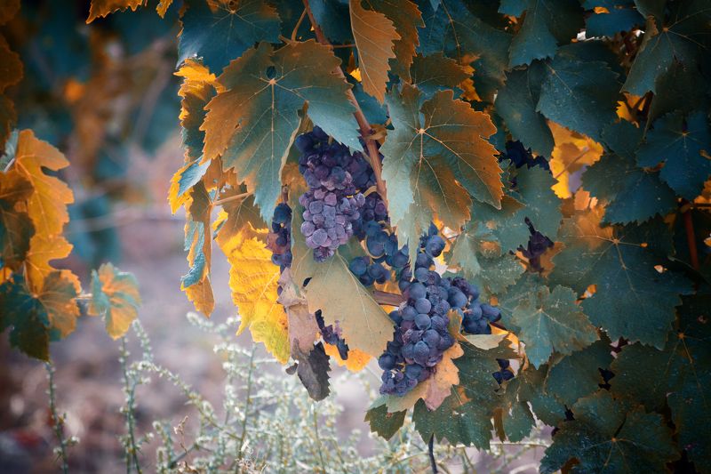 Кружево фото превью