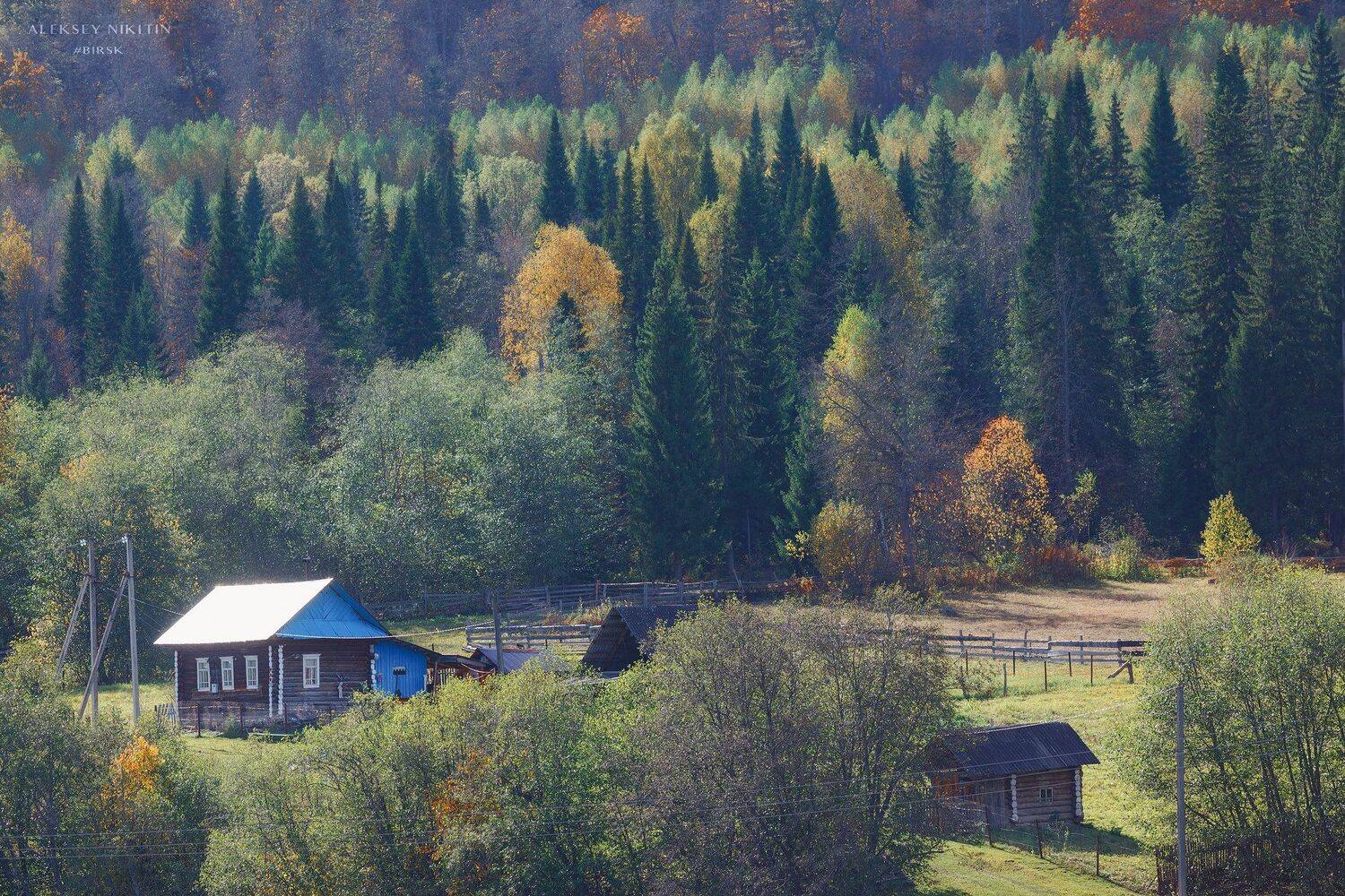 , Никитин Алексей