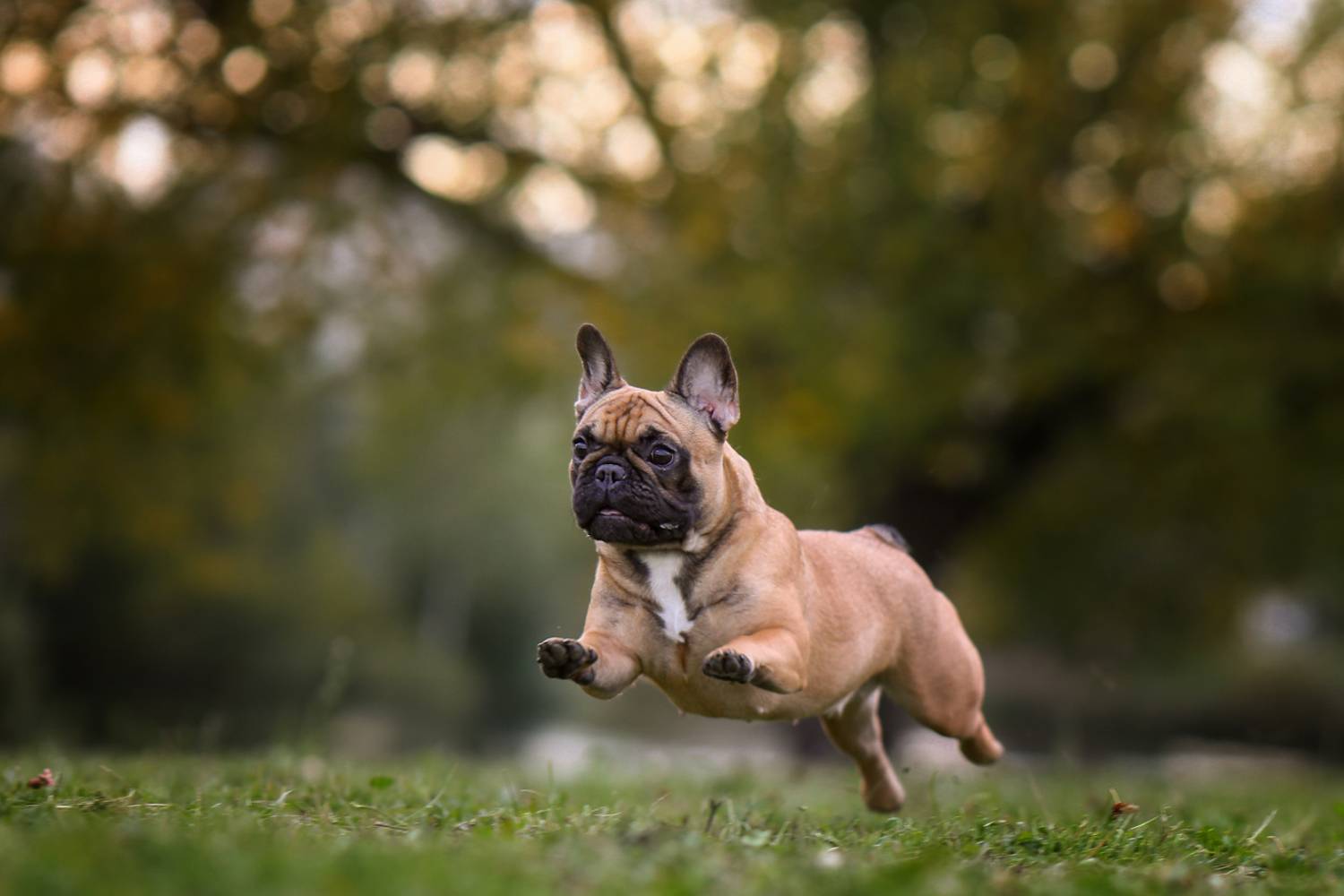 , Андрей Ершов