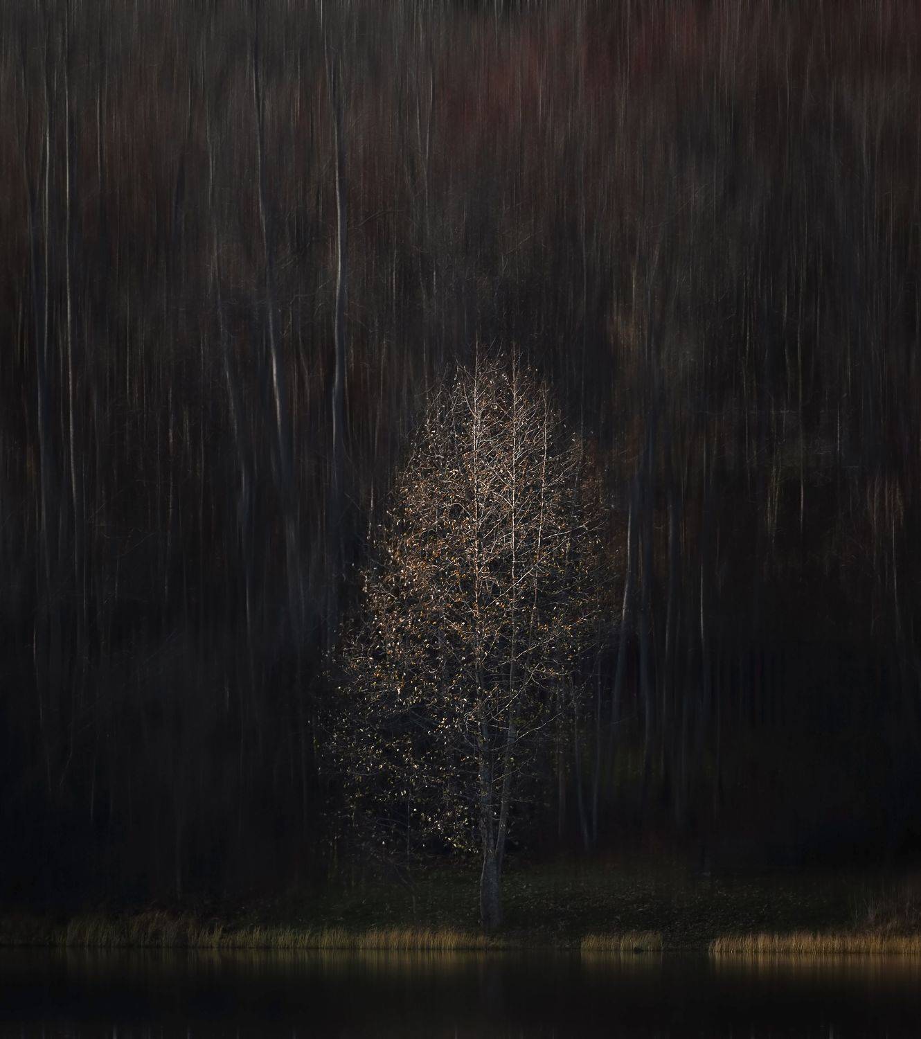 , Светлана Краюшкина