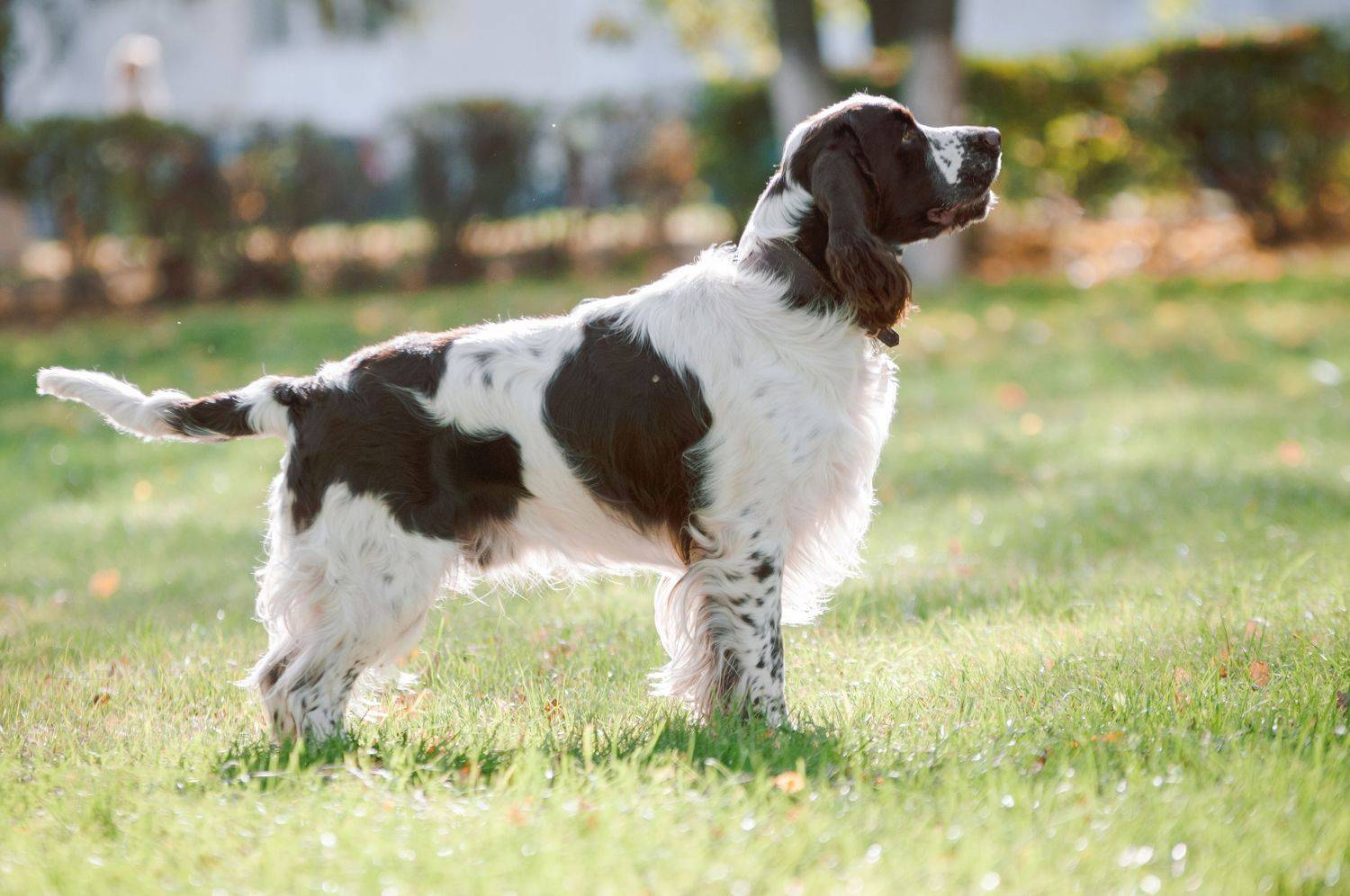 , Динара Зуйкова