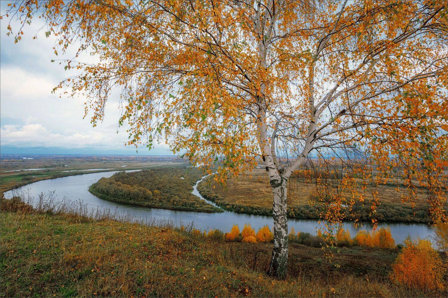пейзаж, осень, река, дерево, небо, свет, цвет, александр никитинский., Никитинский Александр