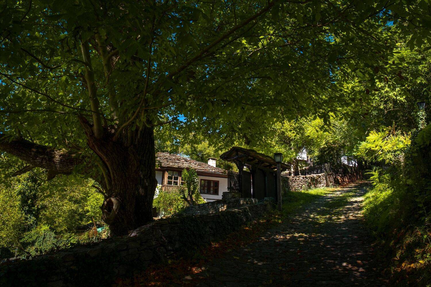 green,old,bozhentsi,bulgaria,tree,summer,house,culture,exterior,stone,, Борислав Алексиев