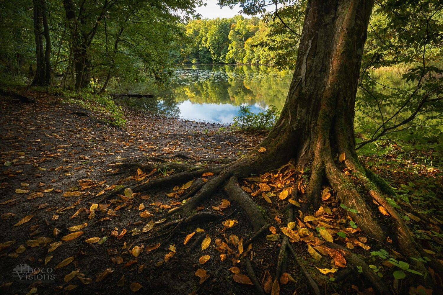 autumn,lake,forest,autumnal,tree,shoreline,landscape,poland,polish,, Photo Visions