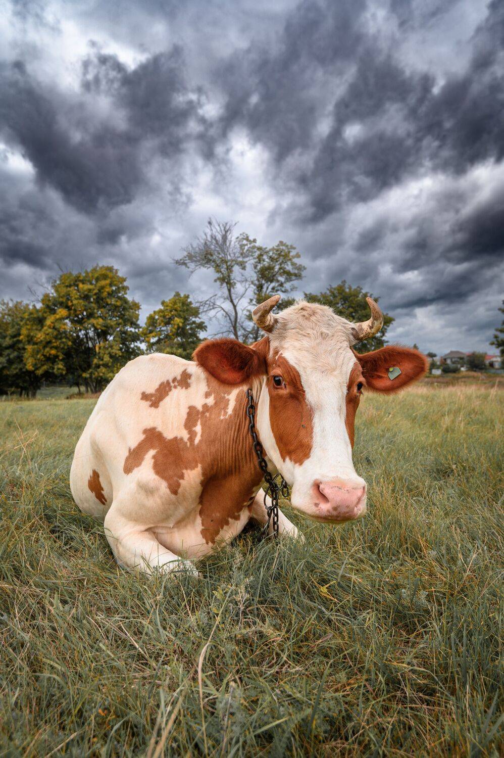 , Караваев Антон