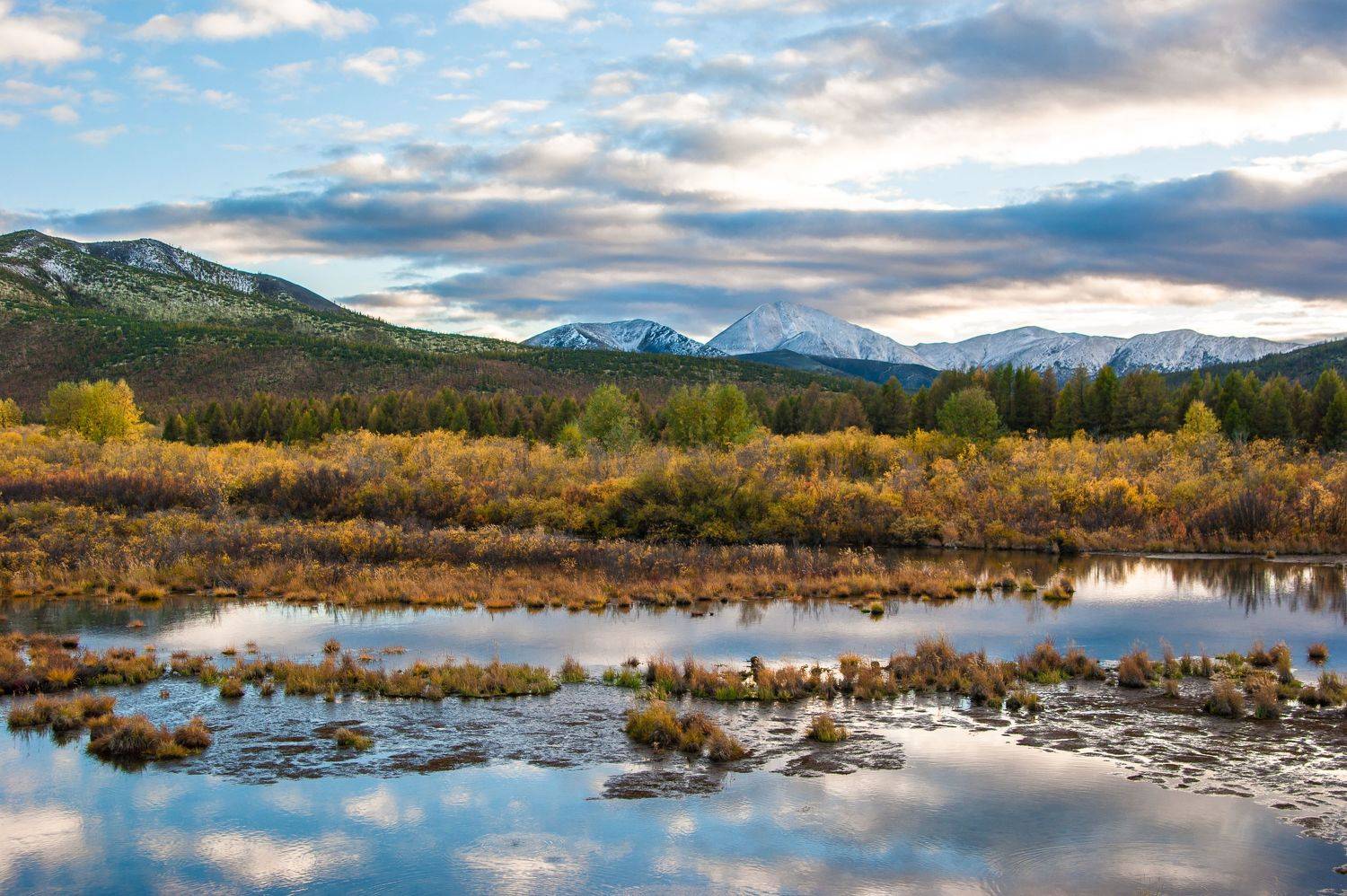 , Андрей Загребельный