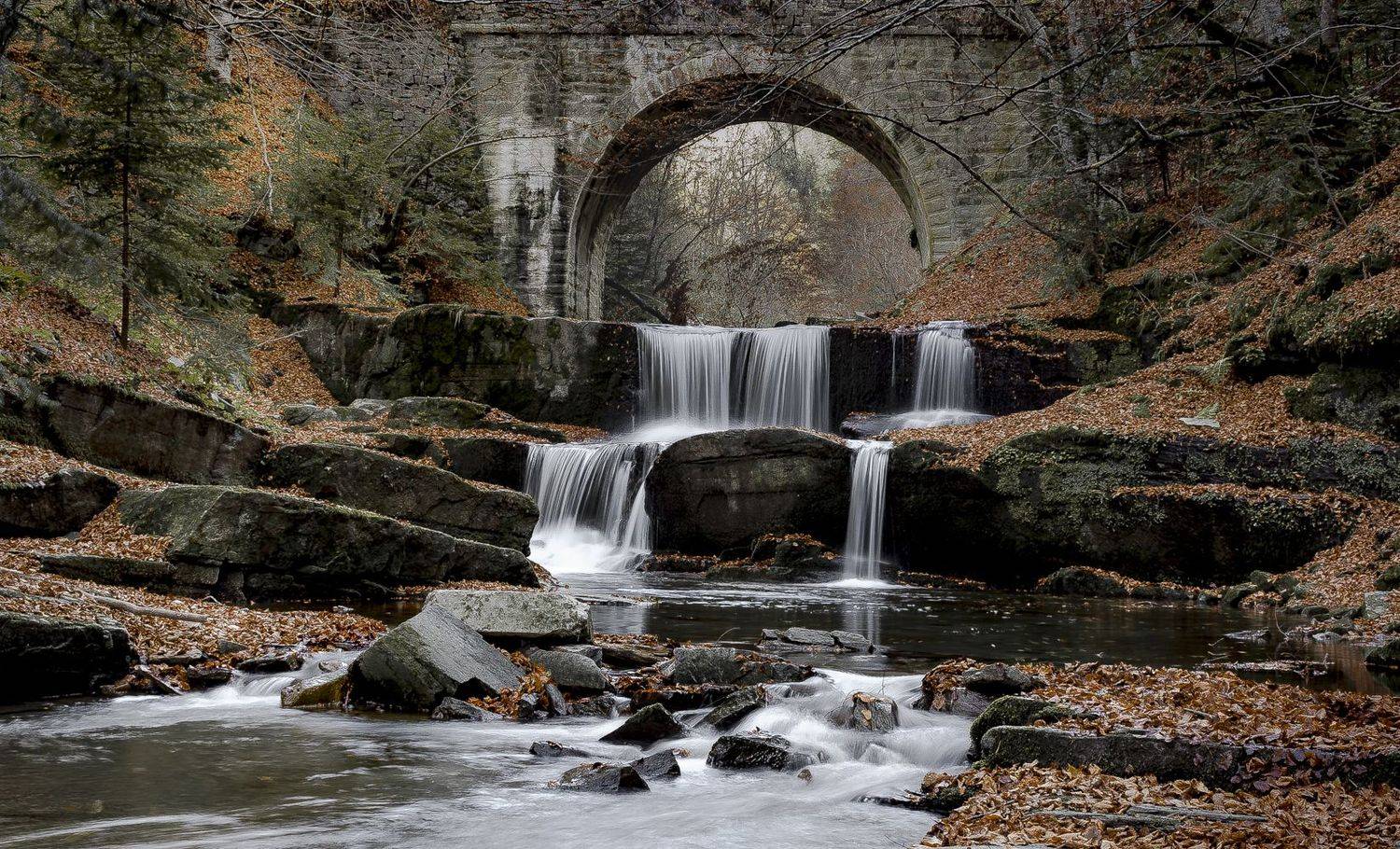 , Георгиев Младен