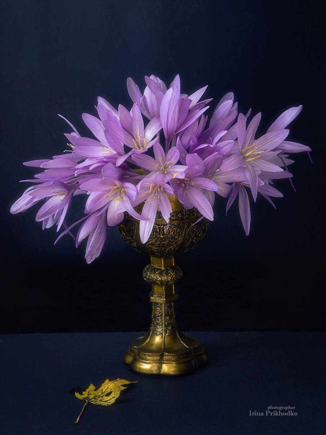 натюрморт, цветы. зефирантес, букет,, Приходько Ирина