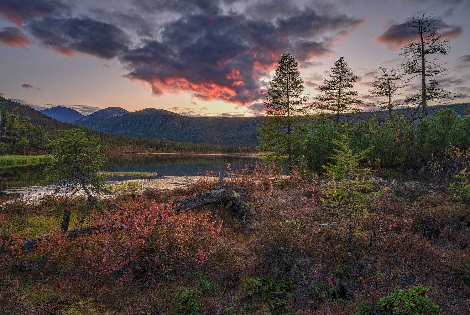 , Сергей Межин