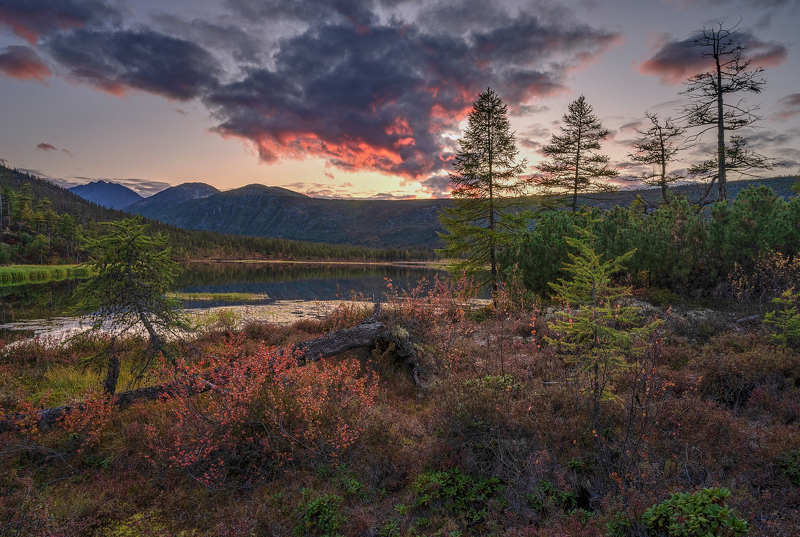 Вечер рядом с Невидимкой фото превью