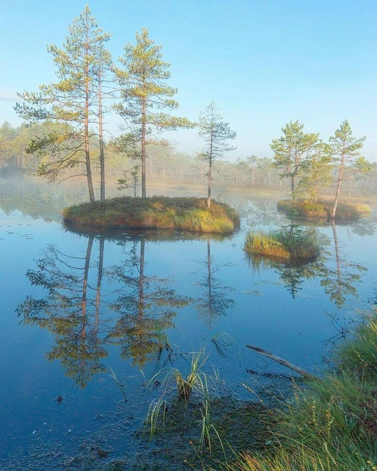 , Петр Косых