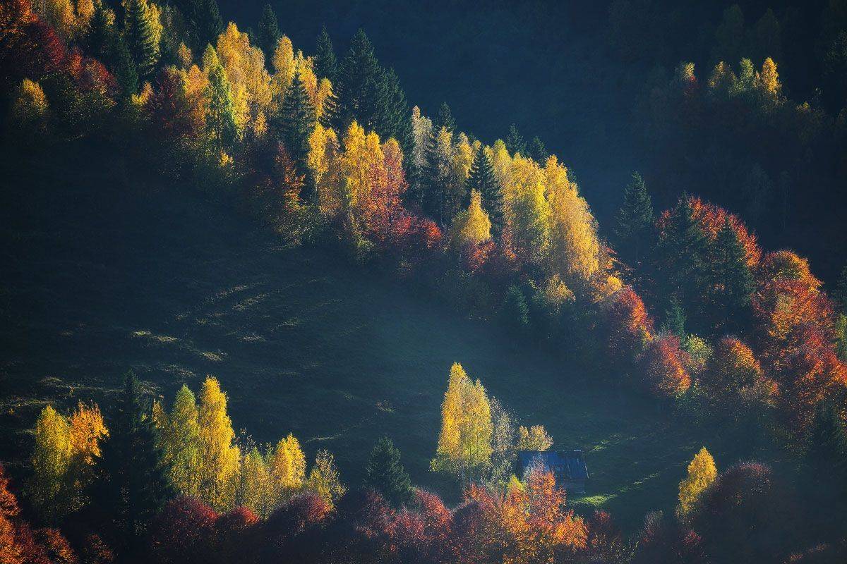 , Stefan Chirobocea
