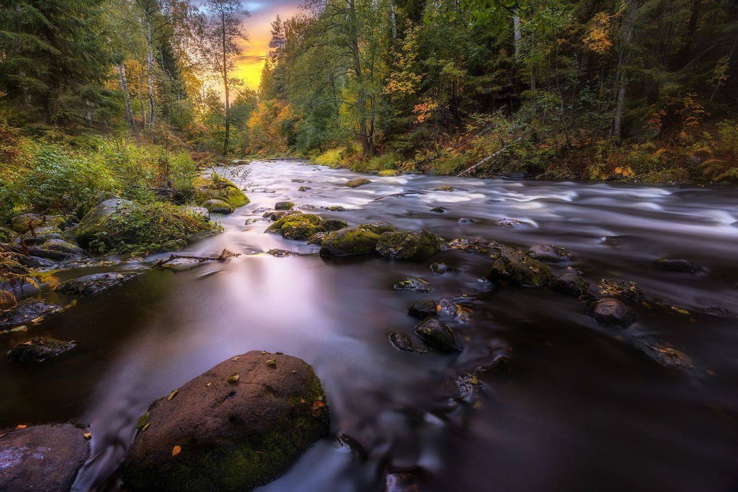 осень сентябрь река рощинка линдуловская роща закат вечер, Скороходов Константин