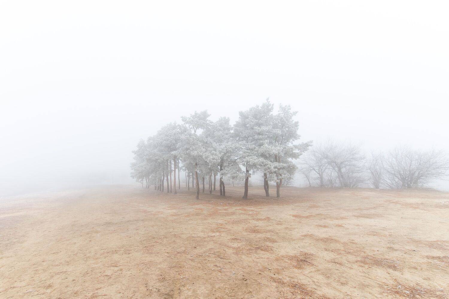 Fog, volgograd, russia, landscapes, , Сторчилов Павел