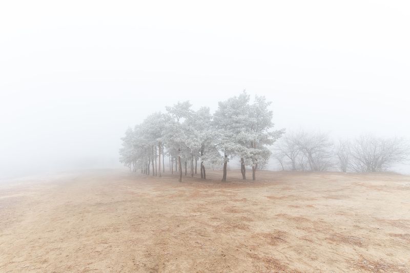 Fog фото превью