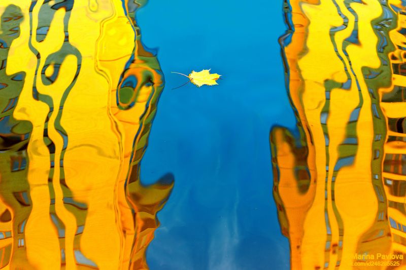 Осенний сон...Памяти Сальвадора Дали. фото превью