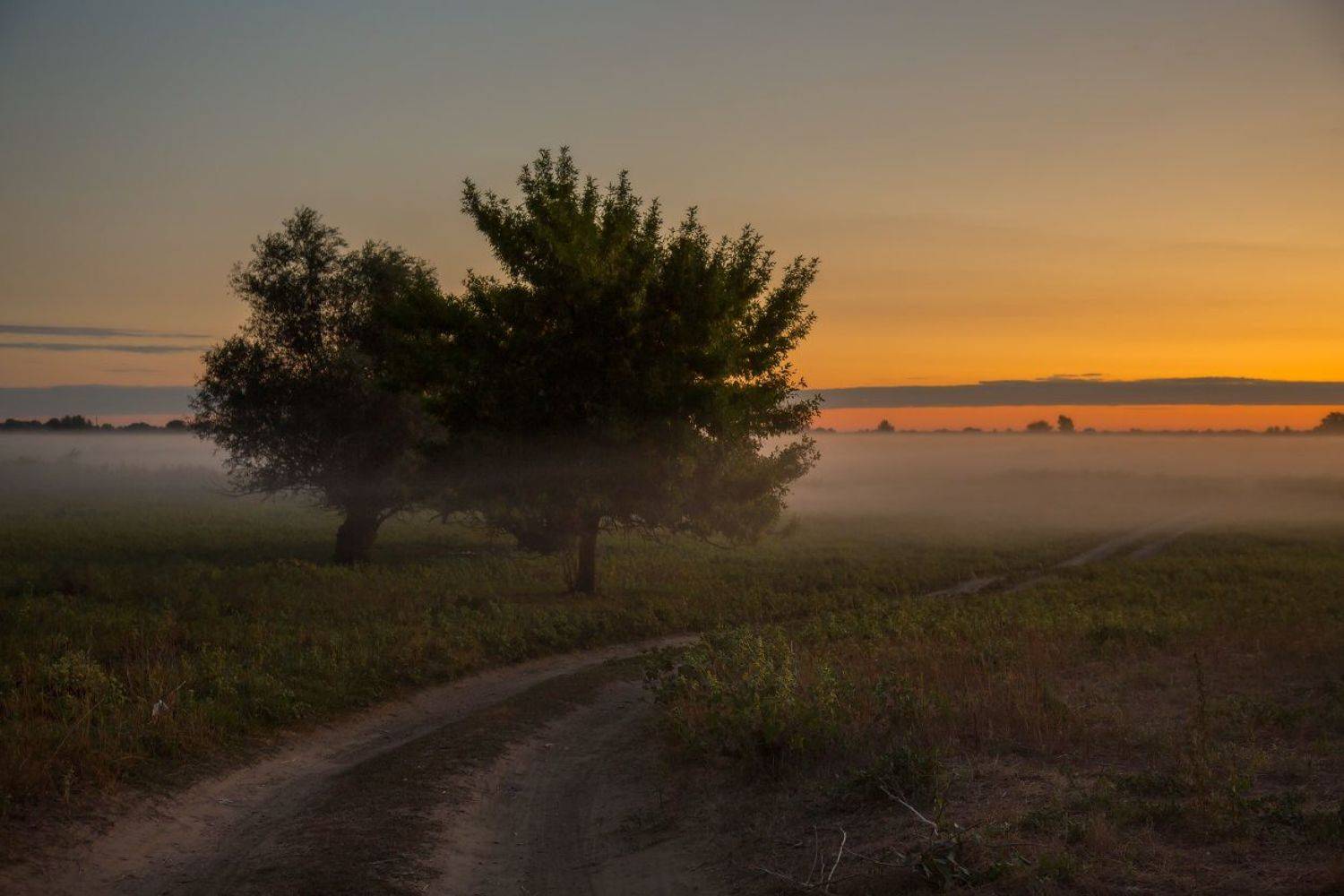 утро рассвет дорога поле туман, Дмитрий Алексеев
