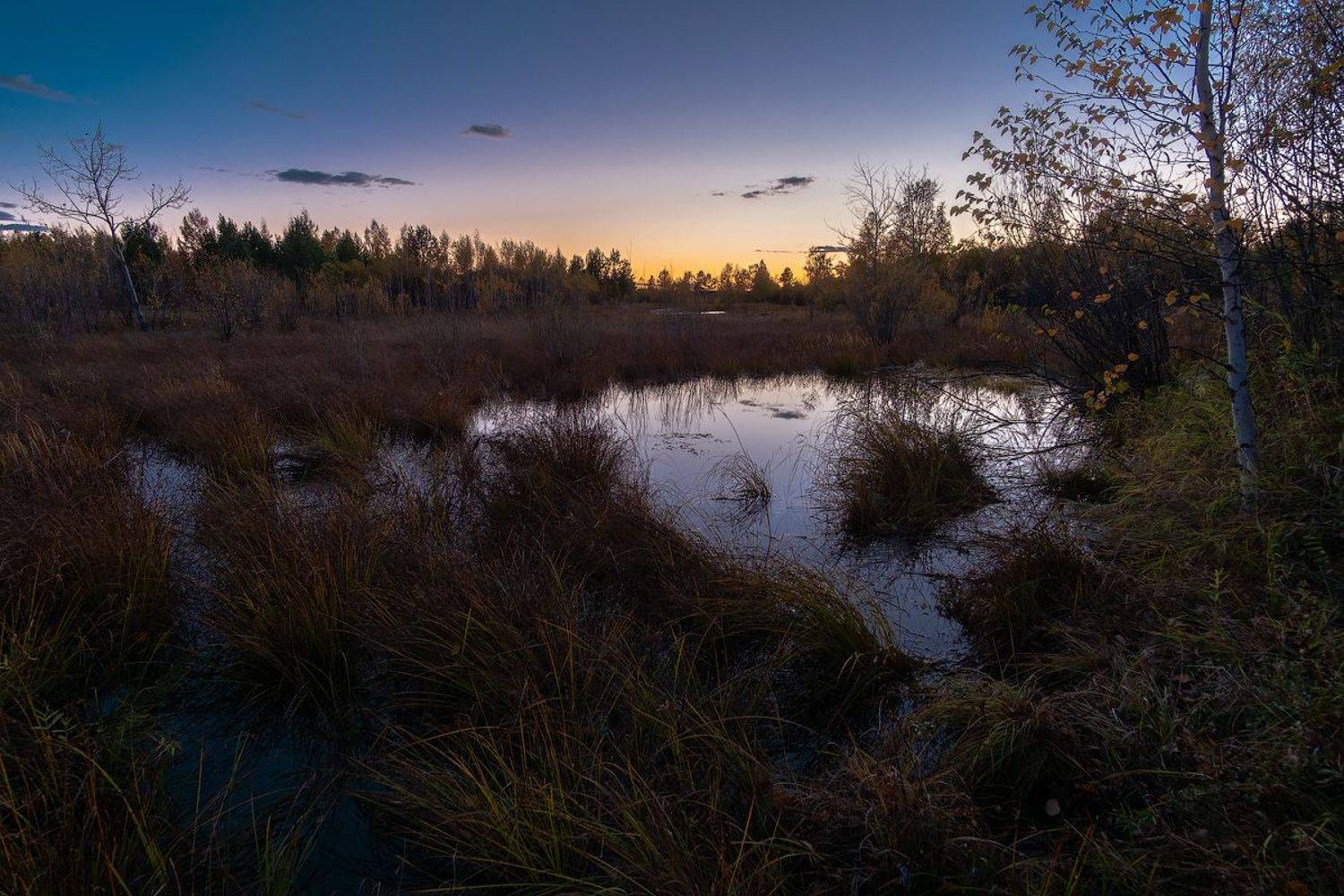 , Комеров Роман