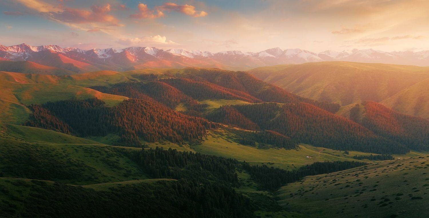 , Минаев Павел