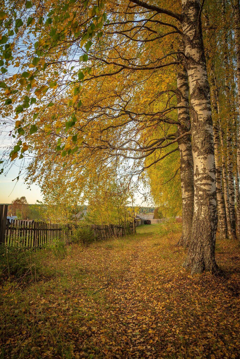 , Алексей Шуплецов