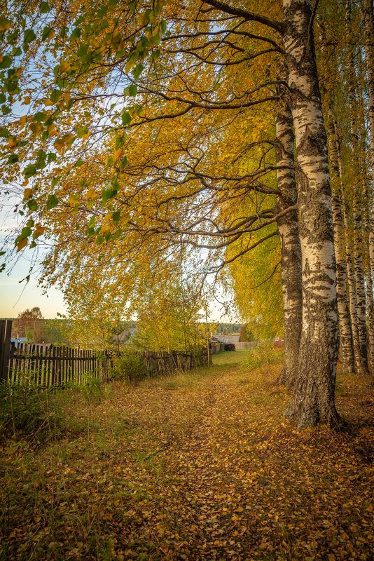 Дыхание осени. фото превью