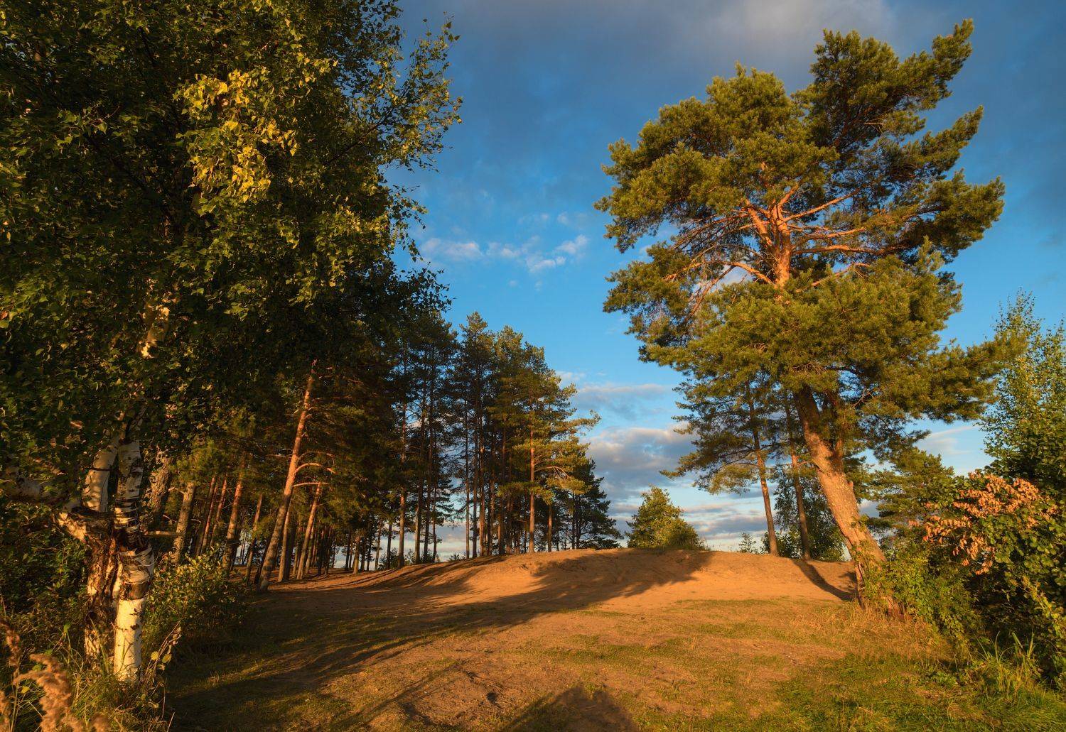 , Лисицын Сергей