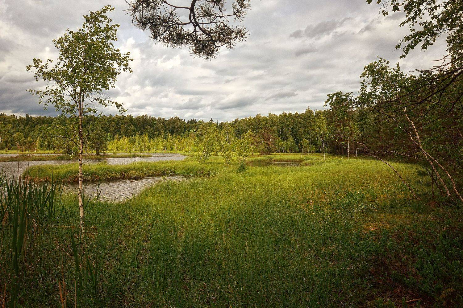 , Алексей Никонов