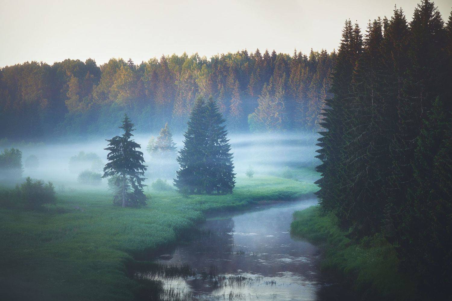 , Кононов Антон