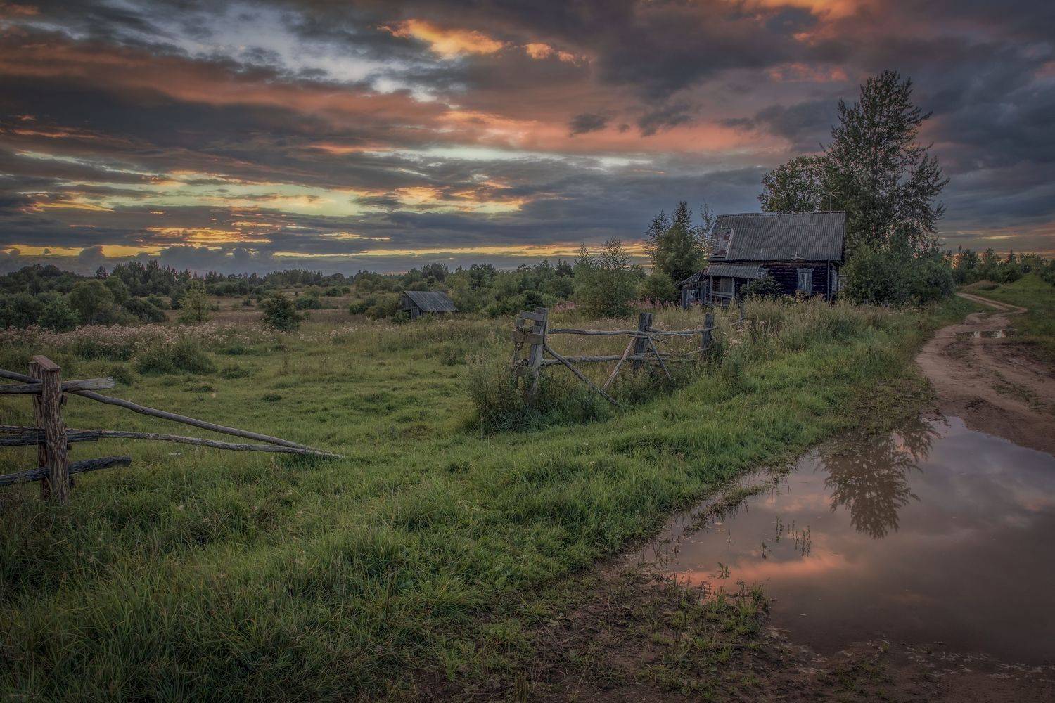 Тверская область, Гусева Елена