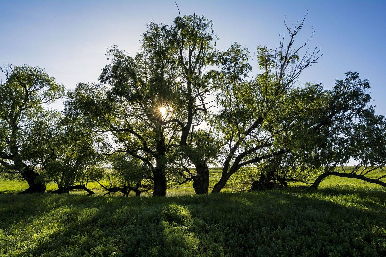 , Андрей Шарапов