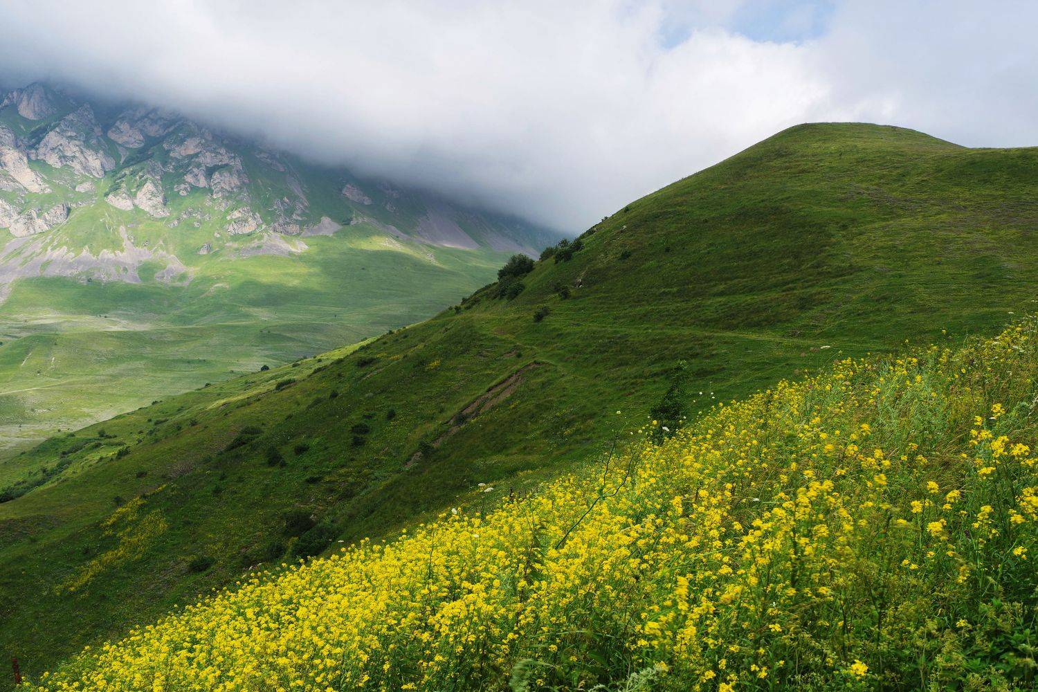 , Ольга Беккер