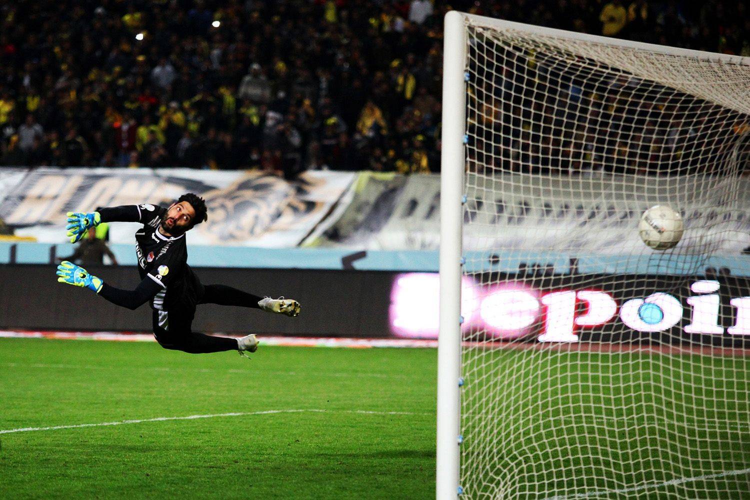 , mehdi karimi souderjani